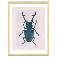Beetle 3
