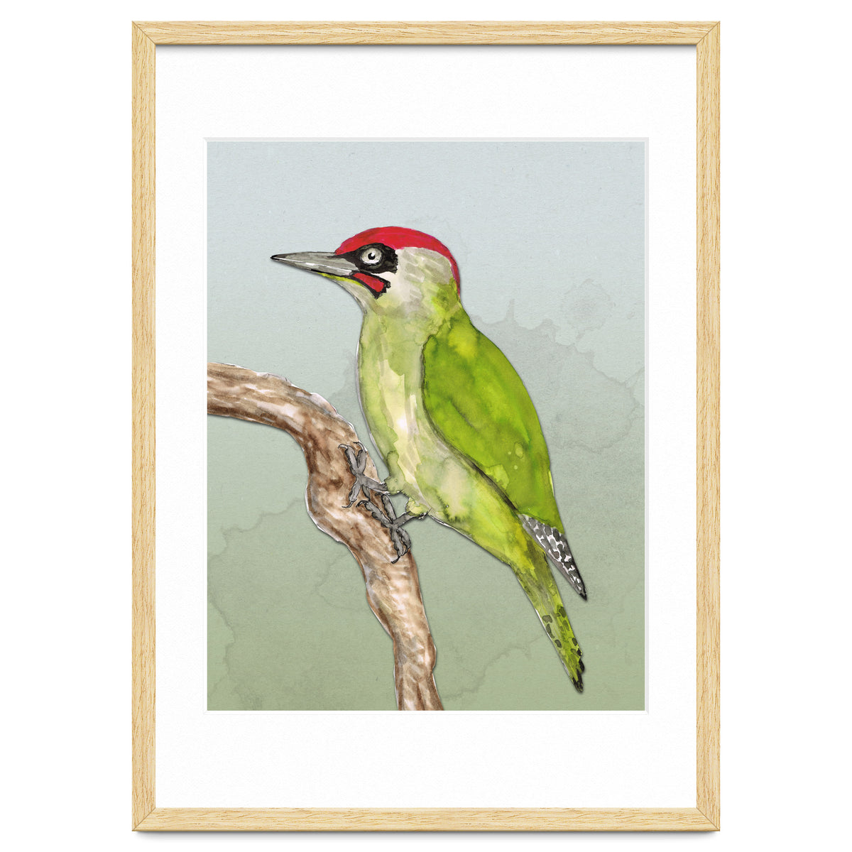 Green woodpecker
