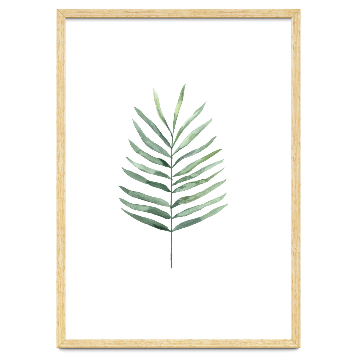 Botanical Illustration Fern