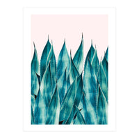 Summer Agave (Print Only)
