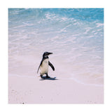 Beach (Print Only) thumbnail