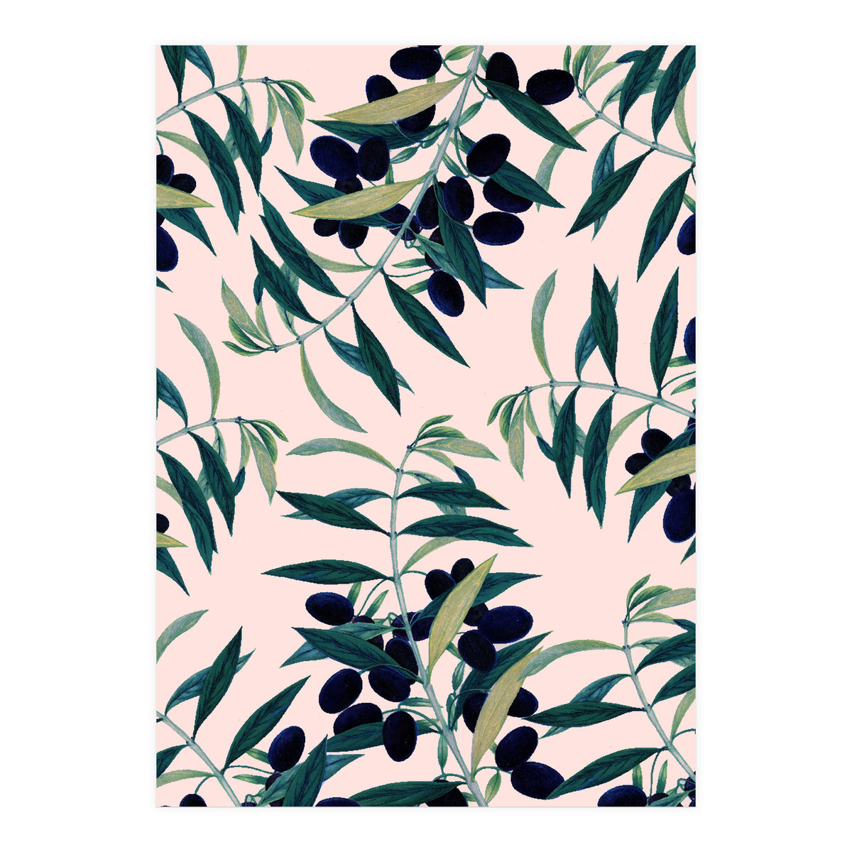 Olive Branch Pattern (Print Only)