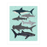 Sharks (Print Only)
