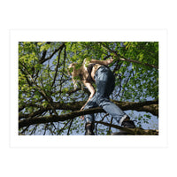 Tree Climber (Print Only)