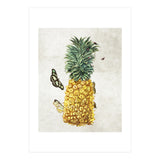 ananas (Print Only) thumbnail