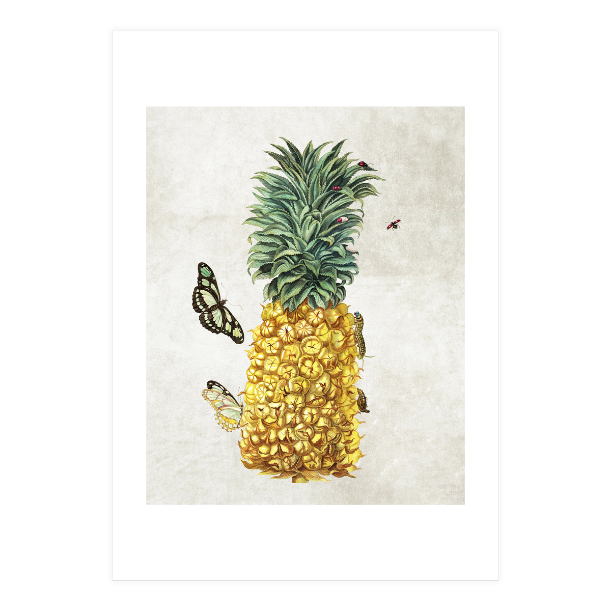 ananas (Print Only)