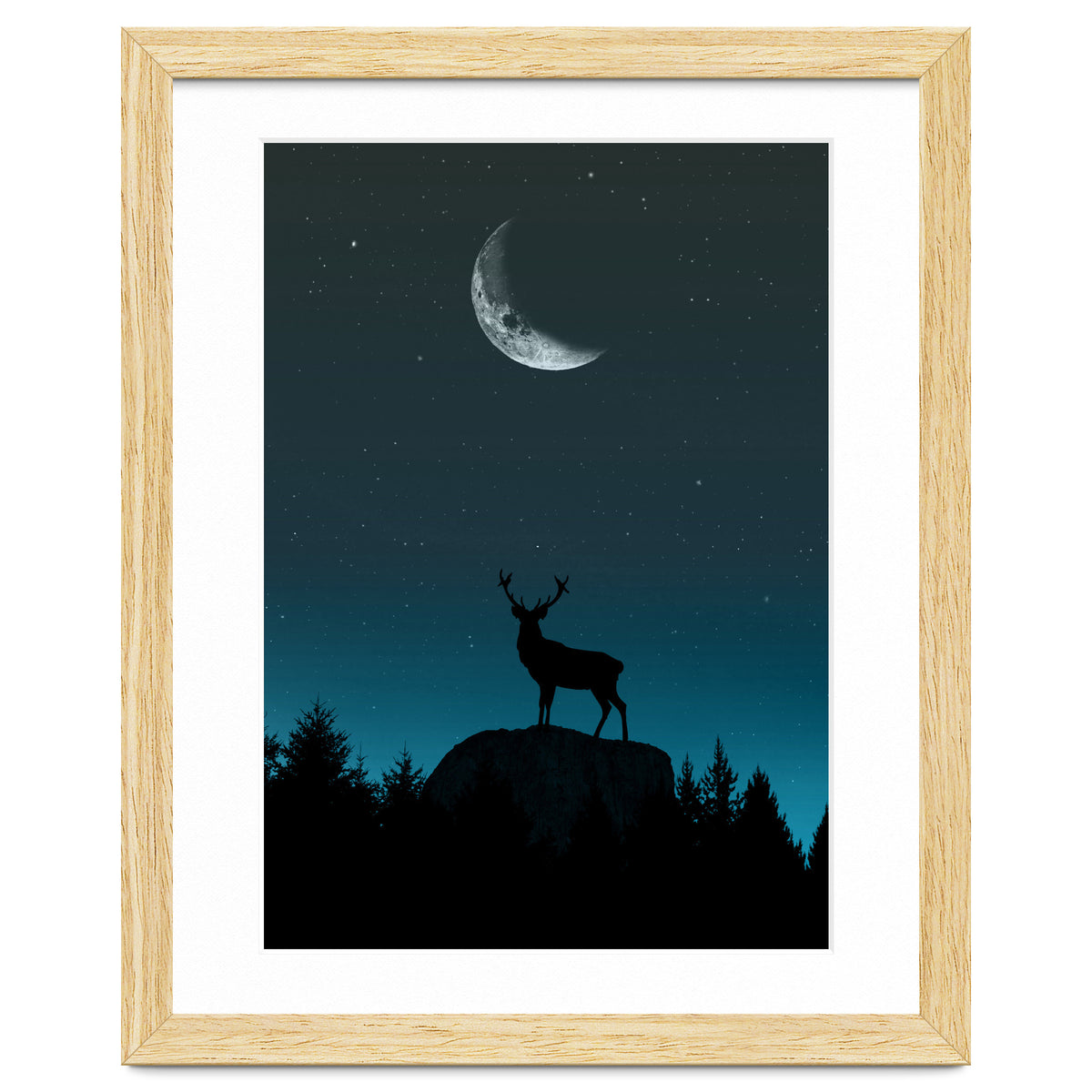 Wild Nature - Nocturne