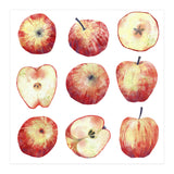 Apples (Print Only) thumbnail