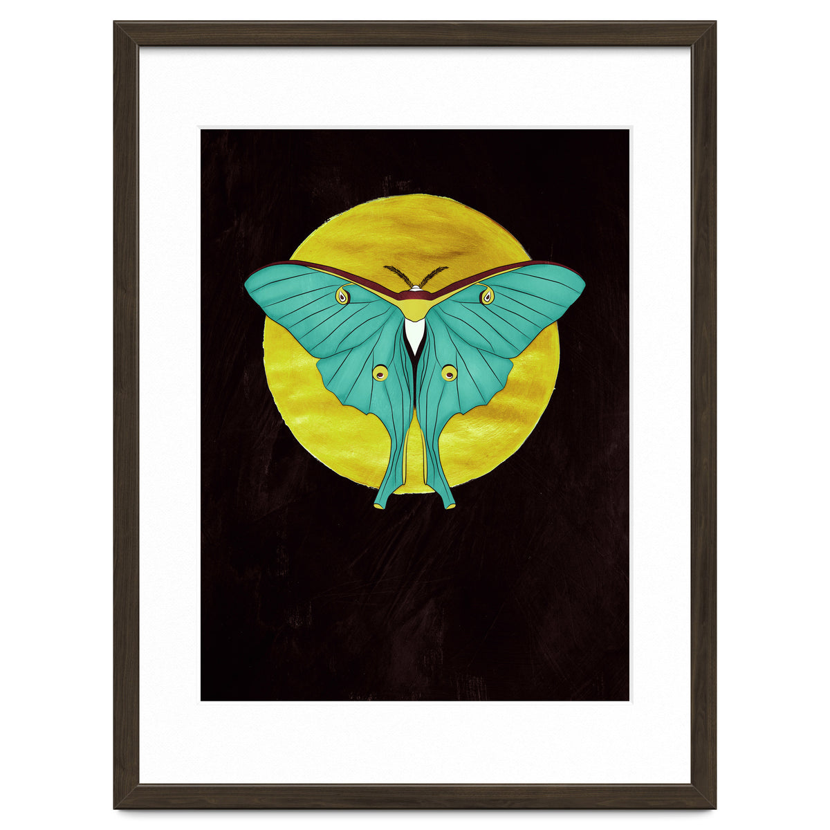 Luna Moth Moon
