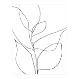Plant Line Drawing (Print Only) thumbnail