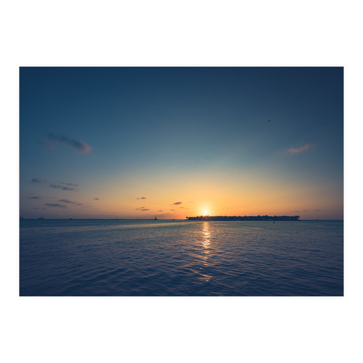 B'dazzled Blue (Print Only)