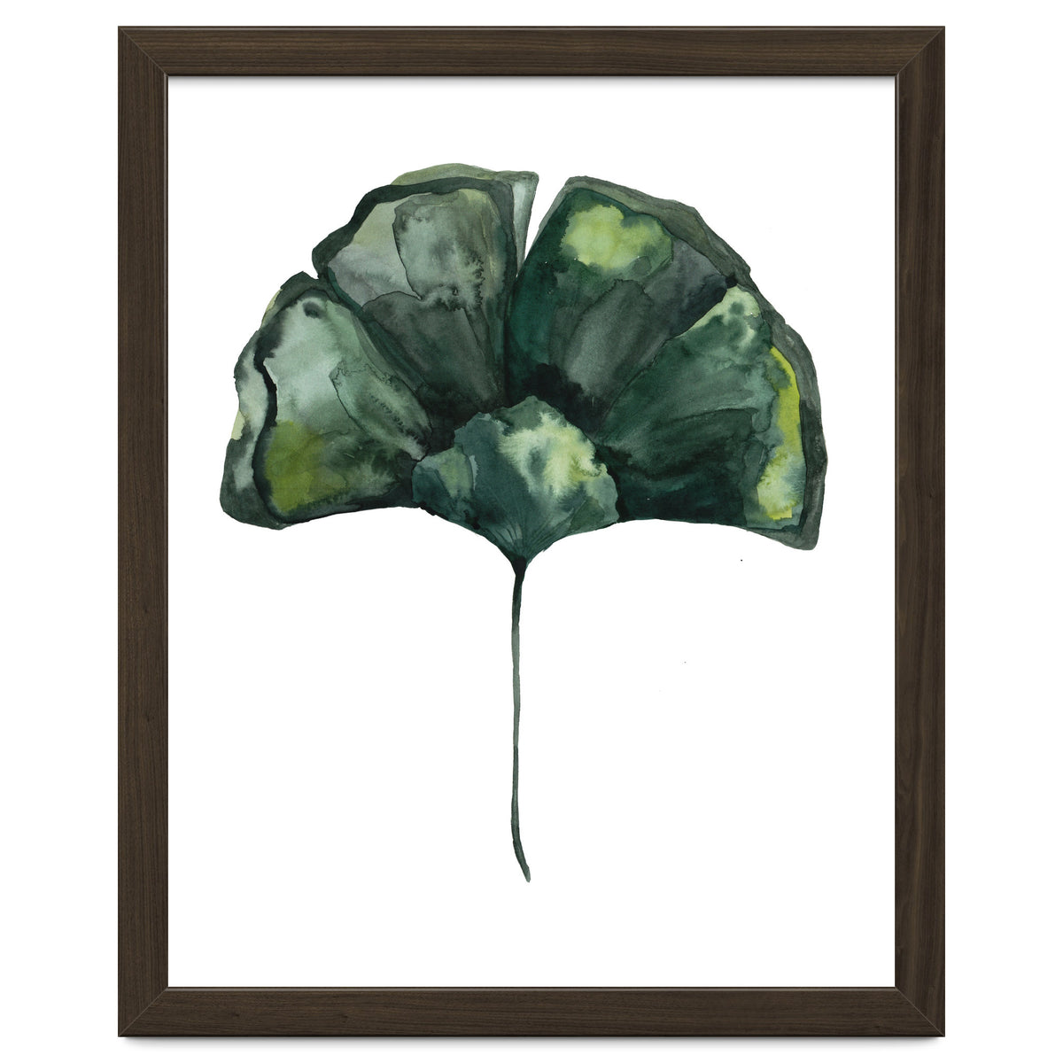 Botanical Illustration Ginko