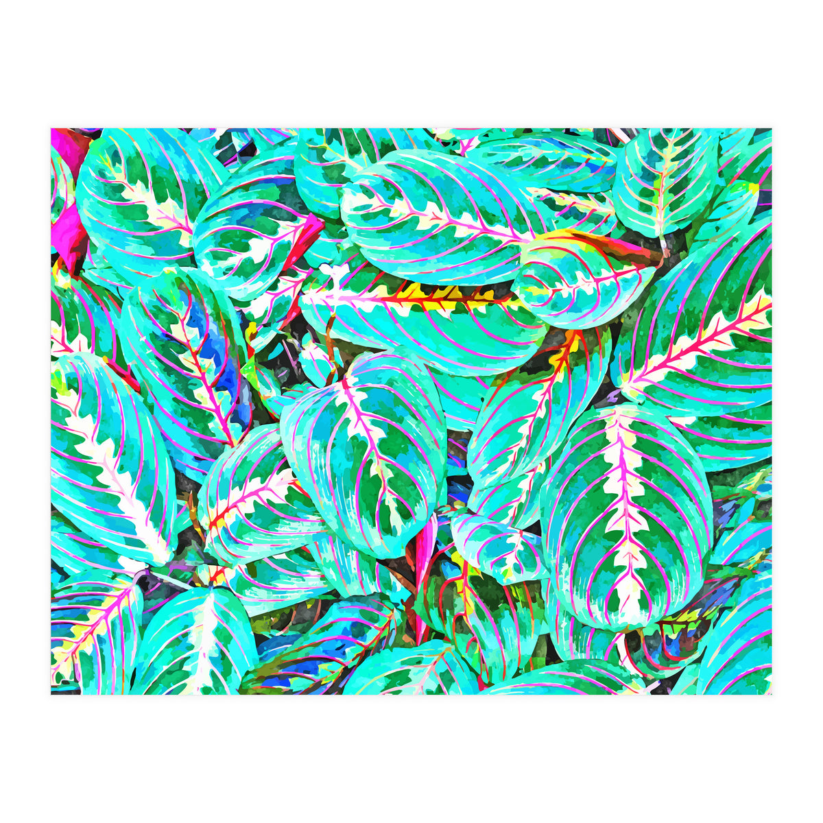 Let's find a beautiful place to get lost (Print Only)