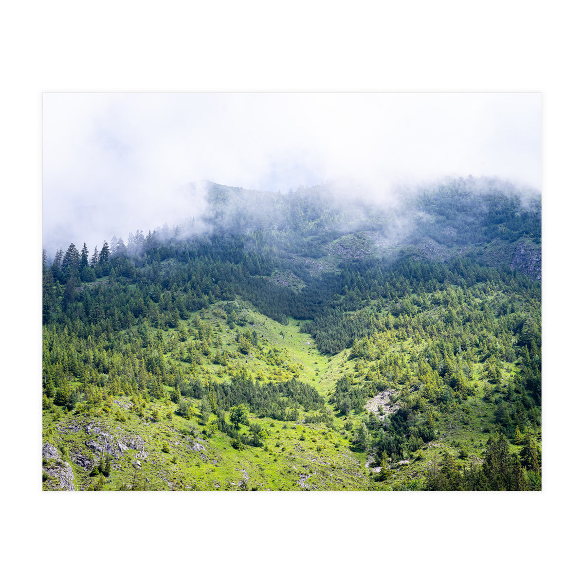 Ascension (Print Only)