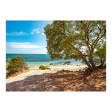 Siesta (Print Only) thumbnail