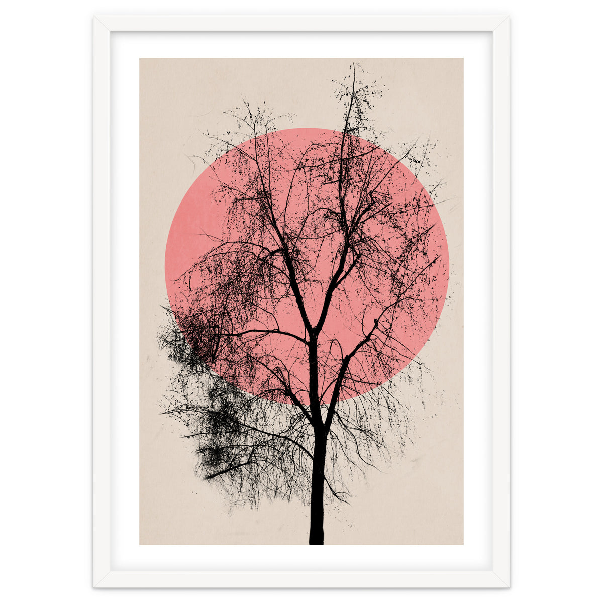 Memories And Moments