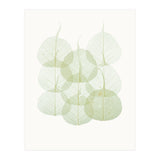 Cc Leaves 02 (Print Only) thumbnail