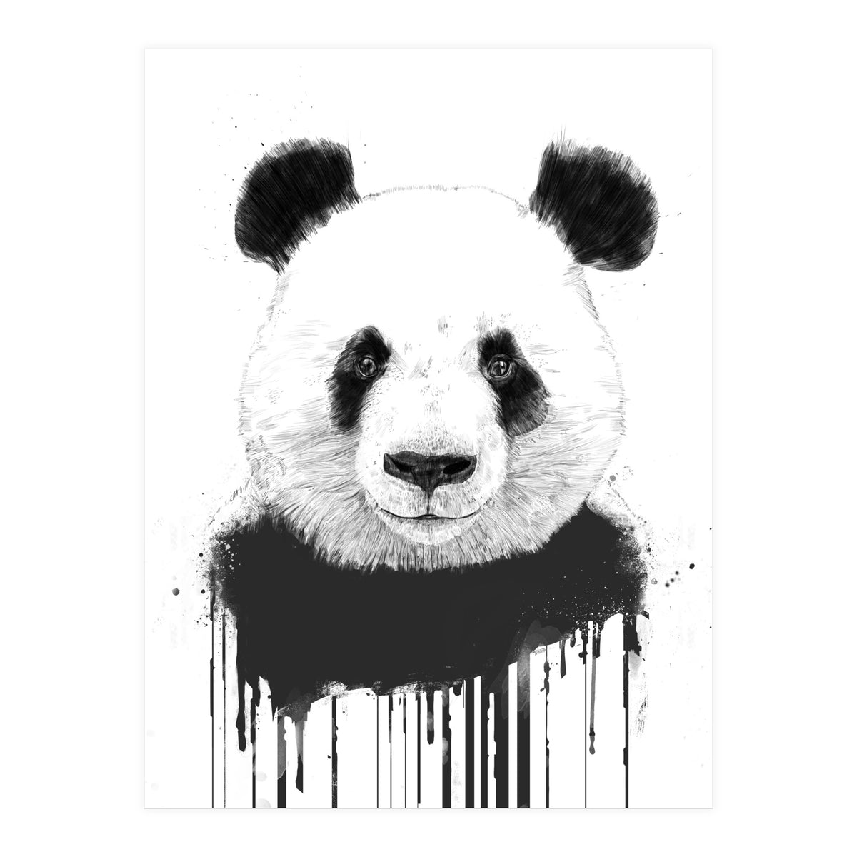 Graffiti Panda (Print Only)