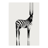Zebra  (Print Only) thumbnail