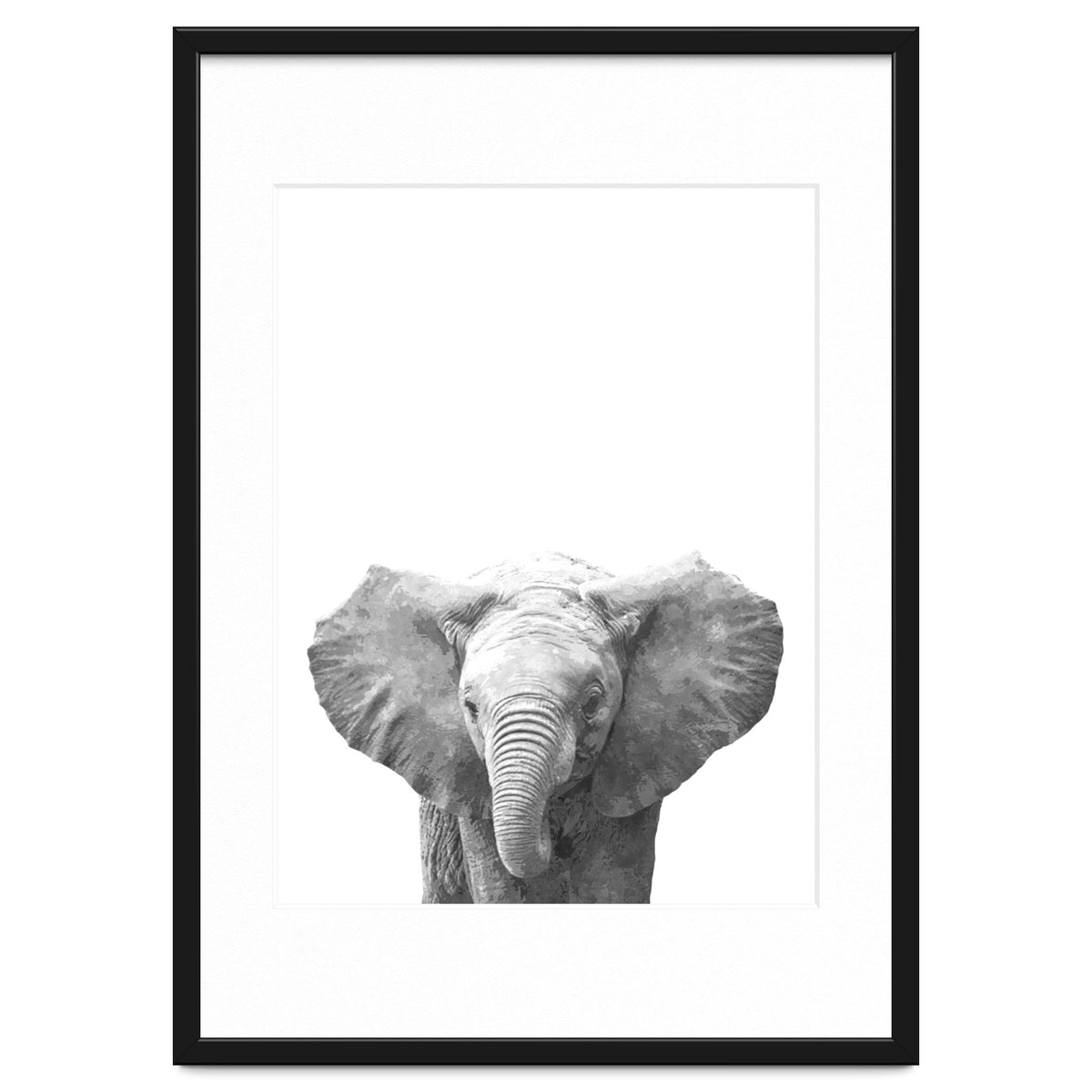 Black and White Baby Elephant