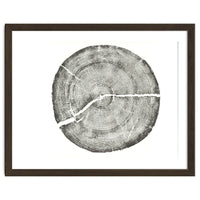Rock Canyon, Tree Ring Print, Woodblock