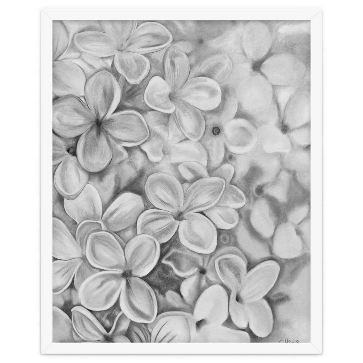 The Essence Of Spring in Monochrome