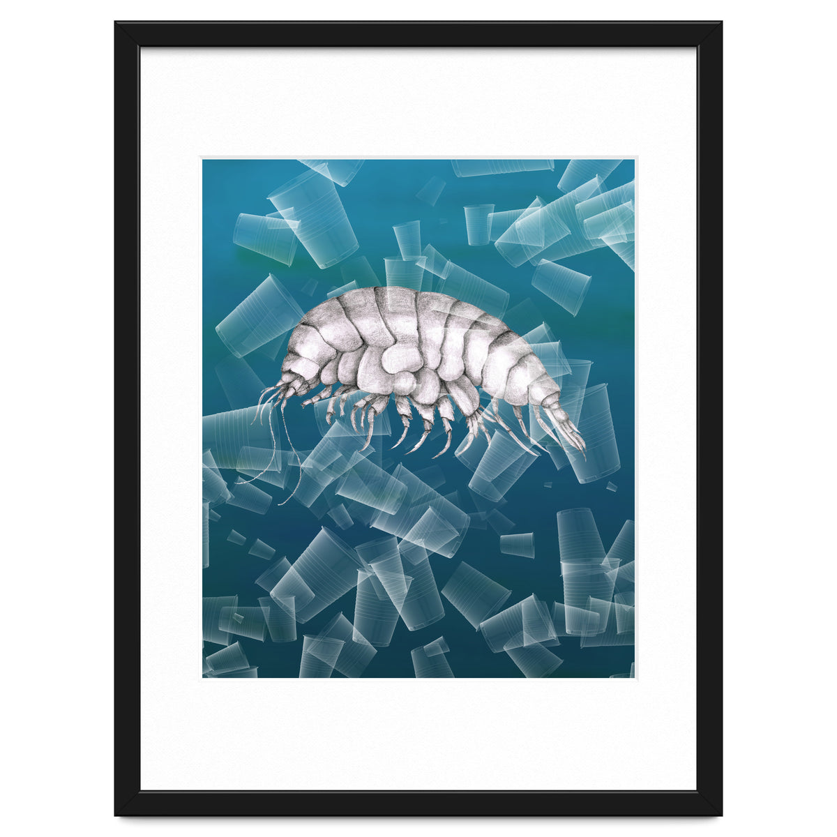 Eurythenes Plasticus