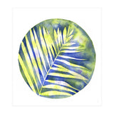 Fern Shadows Std (Print Only) thumbnail