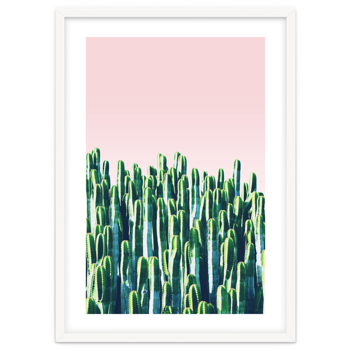 Cactus & Sunset I