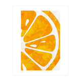 Citrus Collection No1 (Print Only) thumbnail