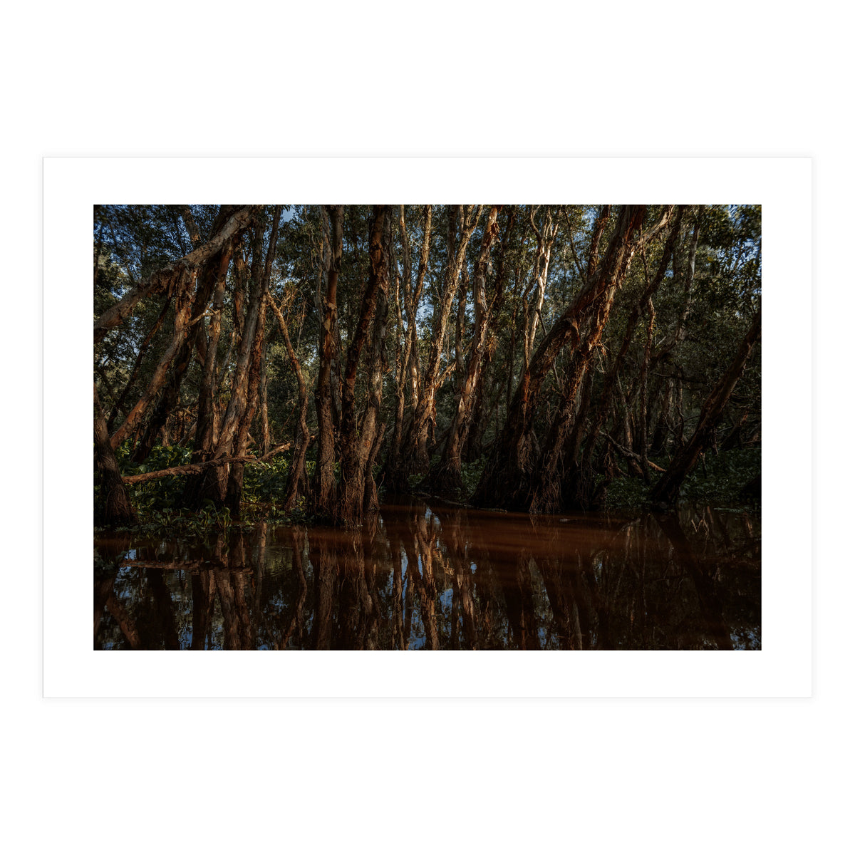 Roots Bloody Roots (Print Only)