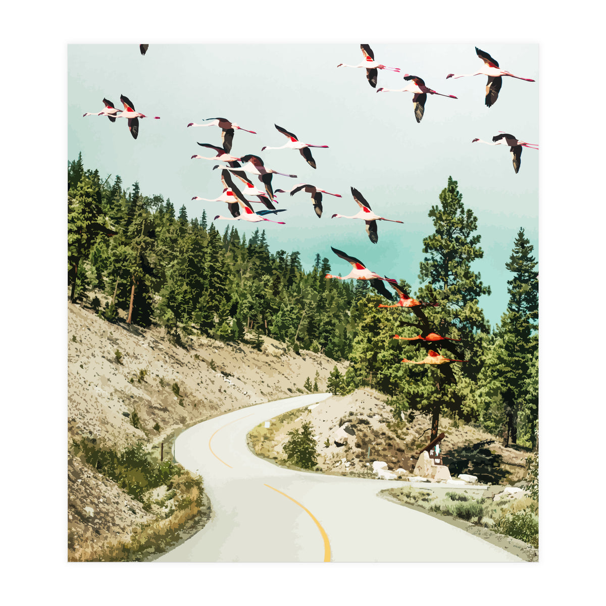 Flamingo Flight (Print Only)