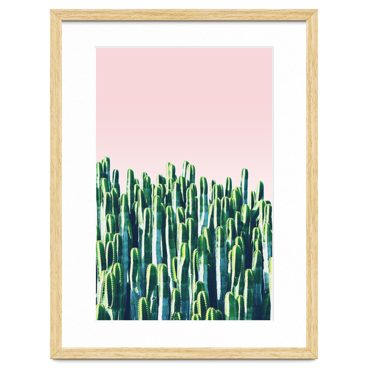 Cactus & Sunset I
