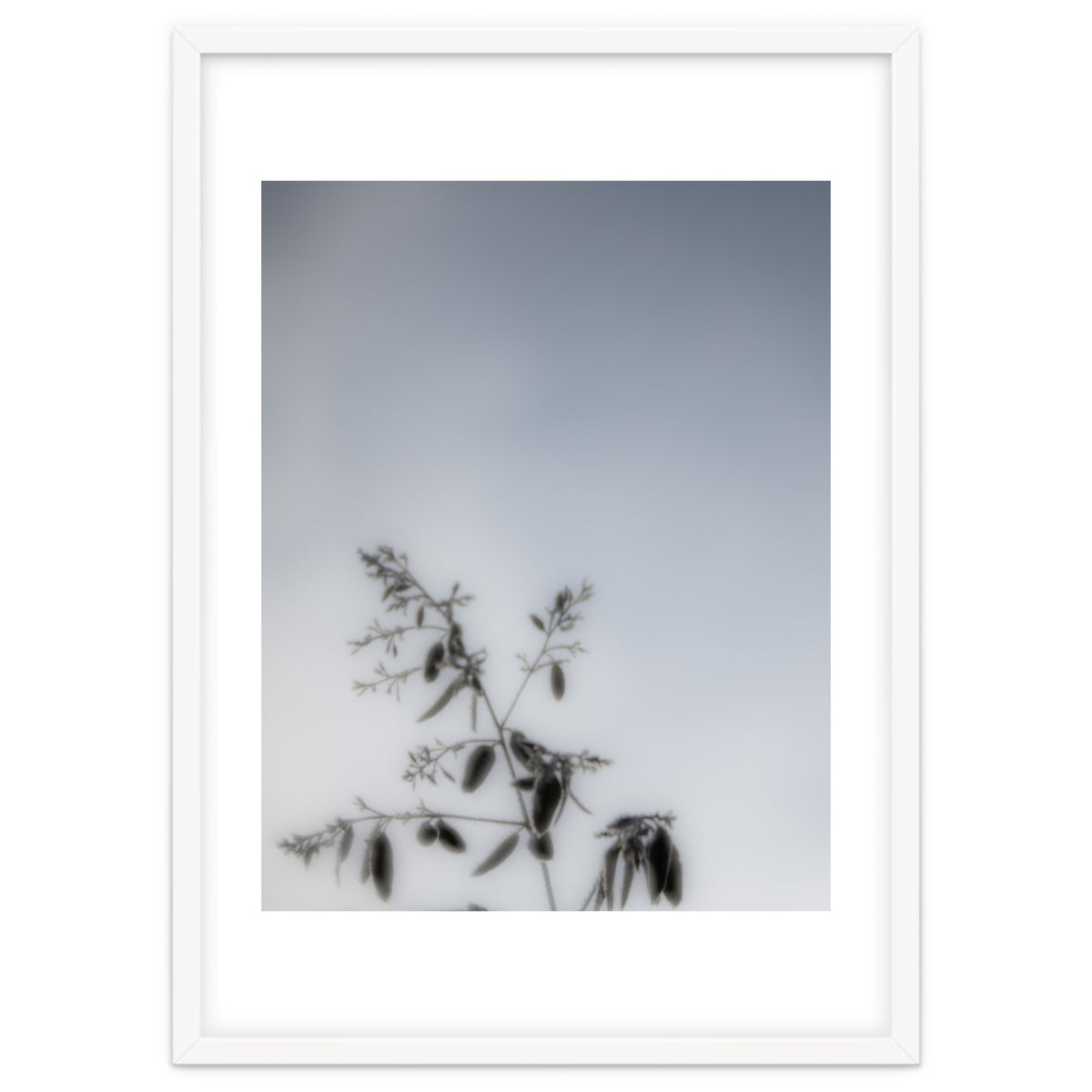 Forgotten Memories of Summer #17