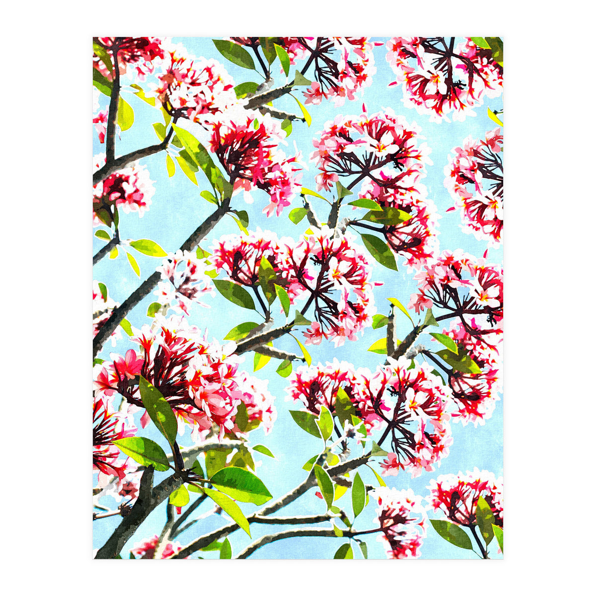 Frangipani (Print Only)