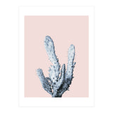 Cactus collection BL-I (Print Only) thumbnail