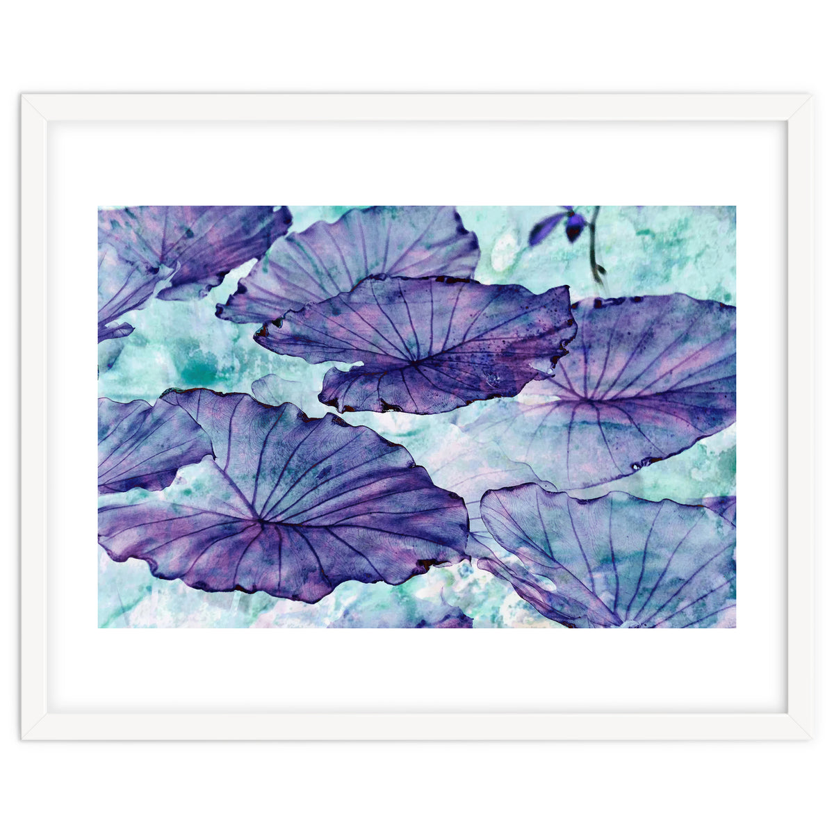 Botanical Surrealism