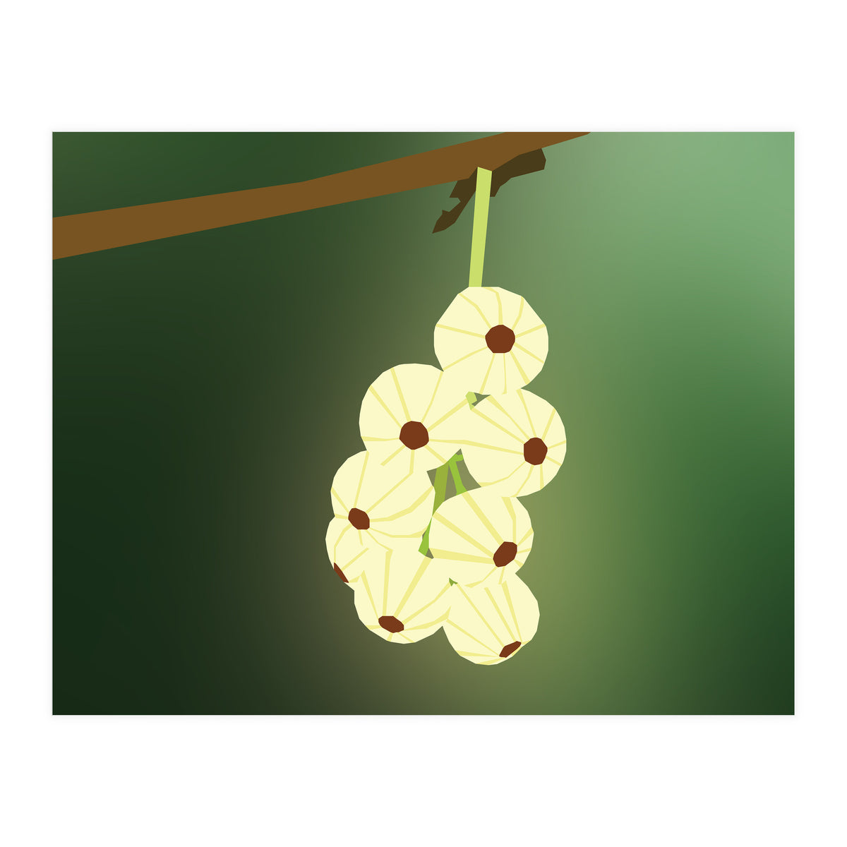 Cherry Blossom Art (Print Only)