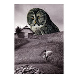 Nocturnal (Print Only) thumbnail