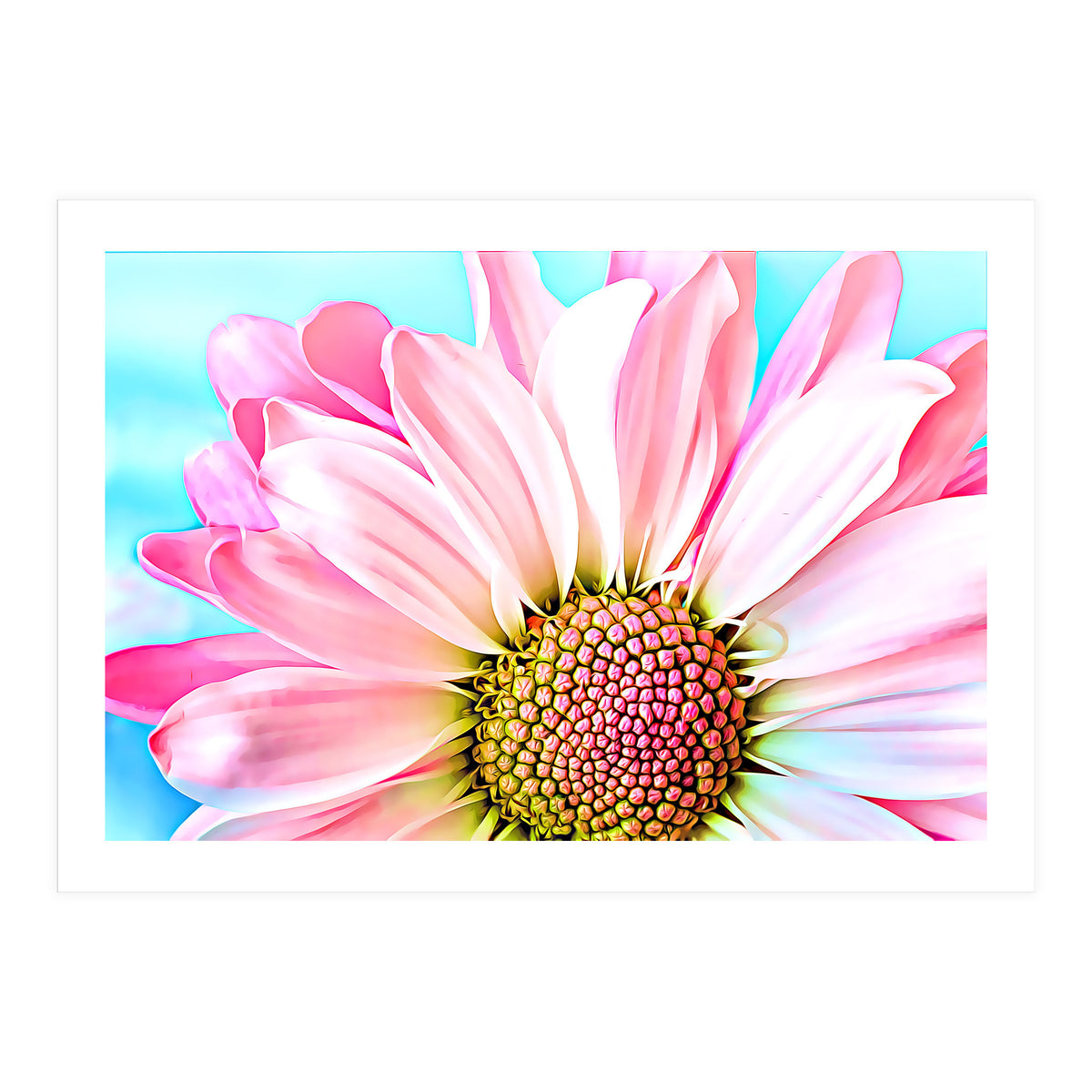 PInk Dahlia (Print Only)