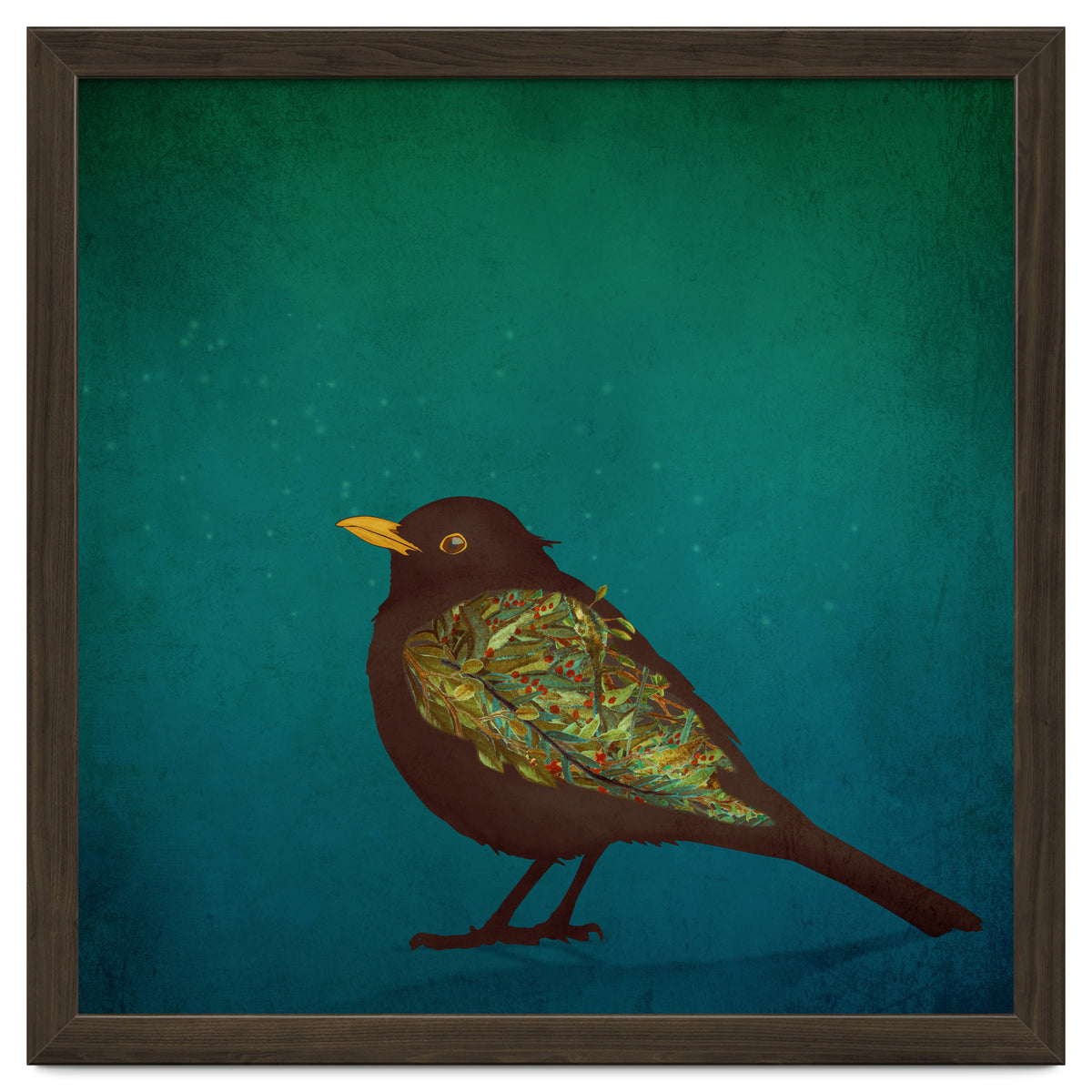 Camouflage: The Blackbird