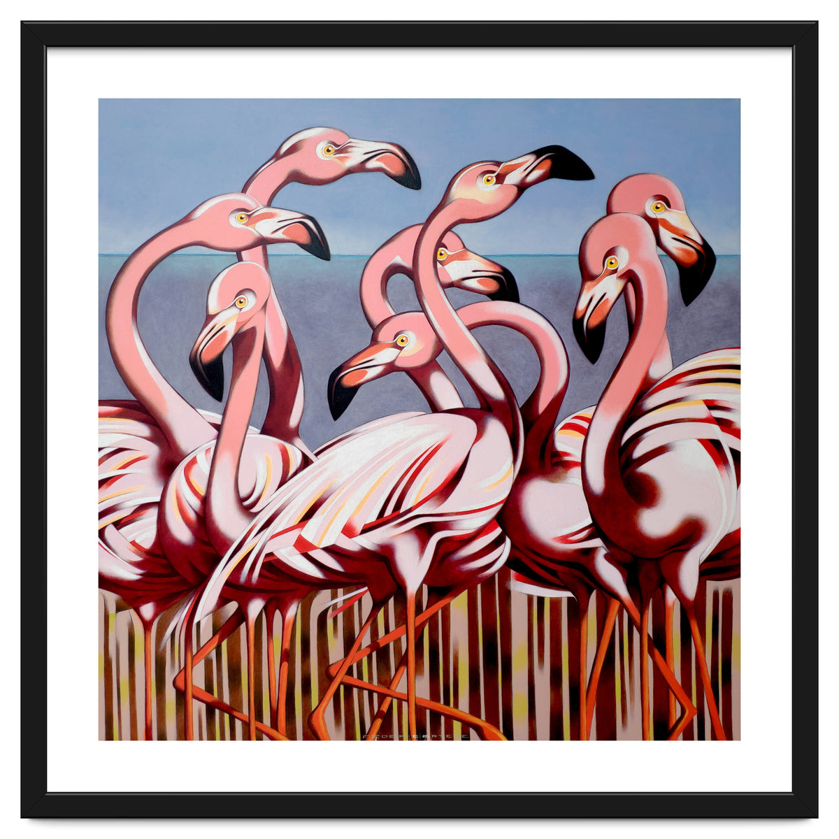Flamingos