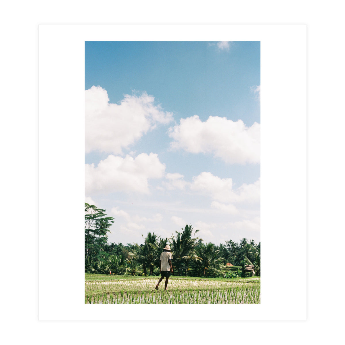 UBUD (Print Only)