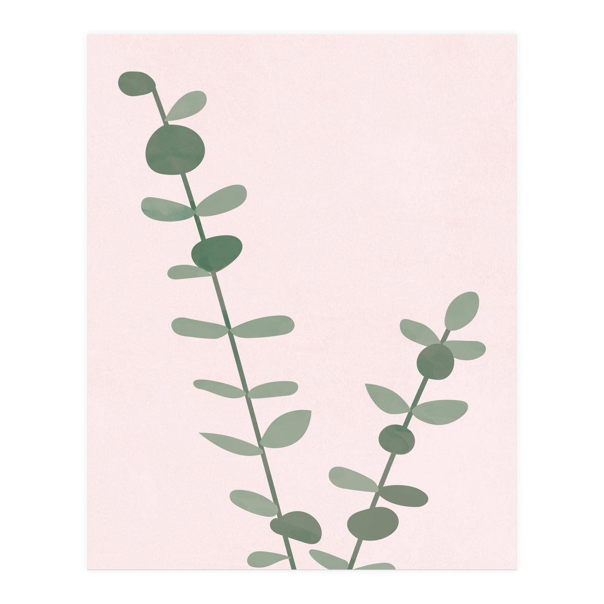 Modern Eucalyptus (Print Only)