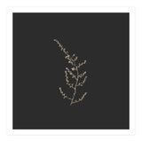 Delicate Golden Fynbos Botanicals on Black - Square (Print Only) thumbnail
