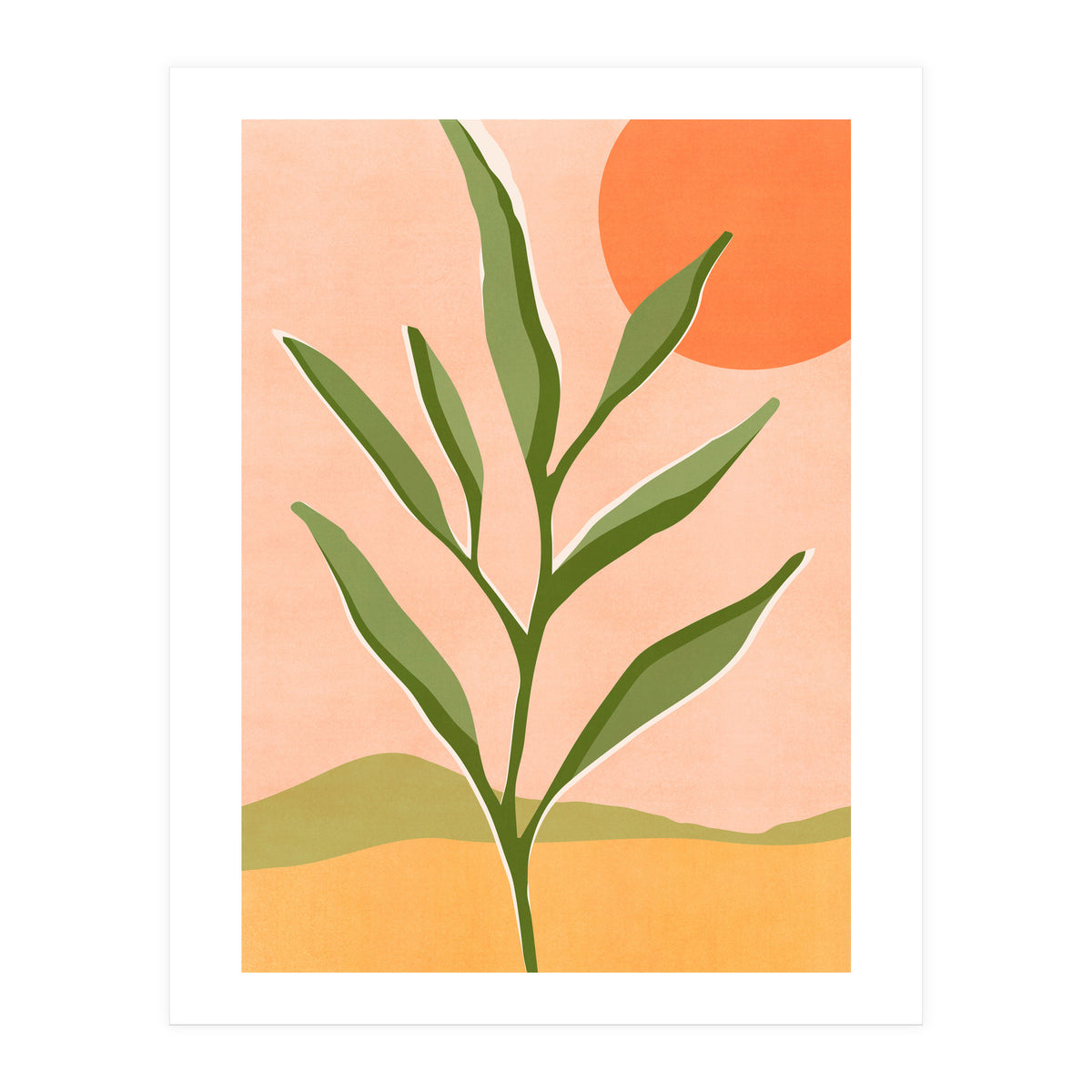 The Sun and The Succulent (Print Only)