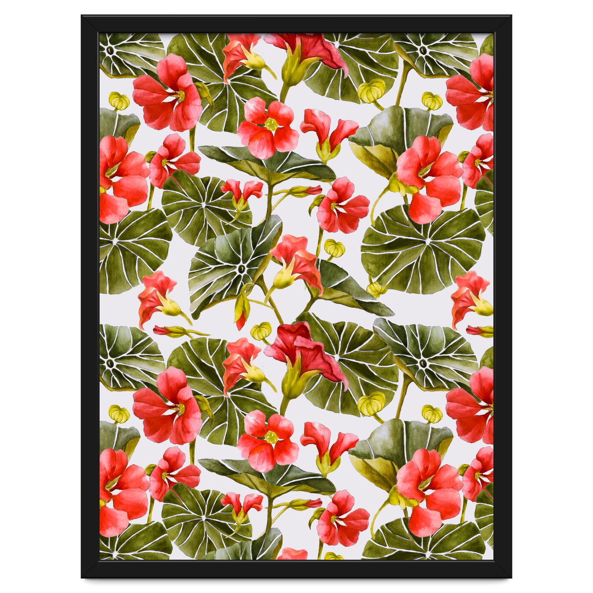 Nasturtiums watercolor 02