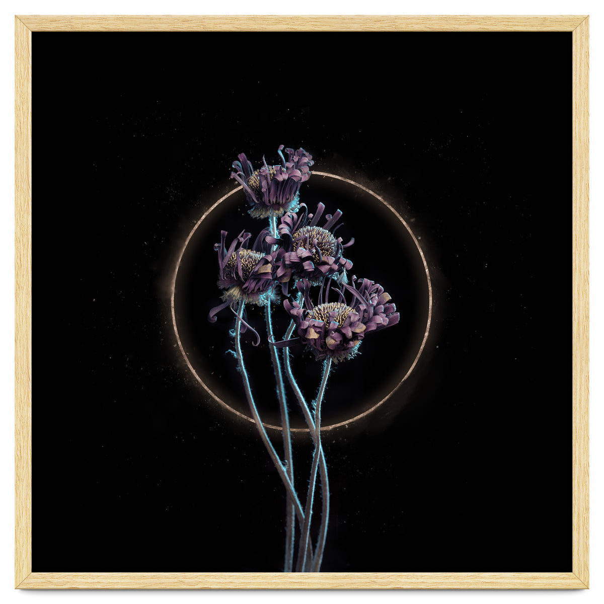 Candy-Coloured Mystery