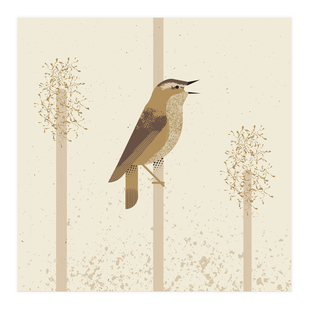 Sedge Warbler (Print Only)