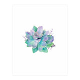 Aqua Succulent (Print Only) thumbnail